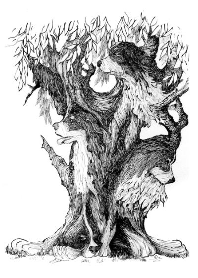 Number 26 Tree Bark