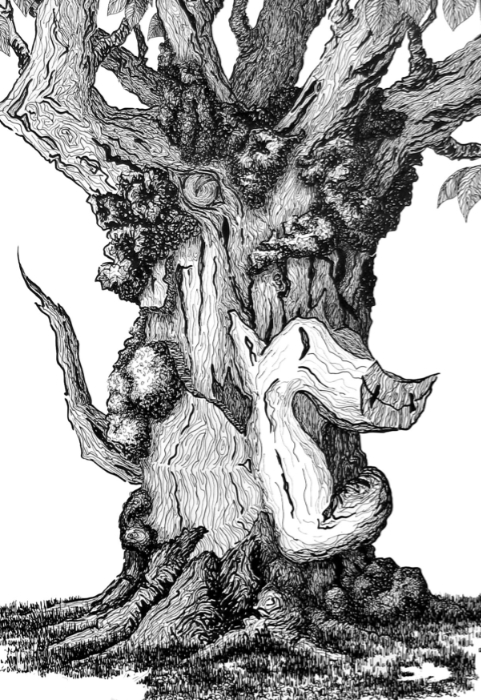 Dragon Tree