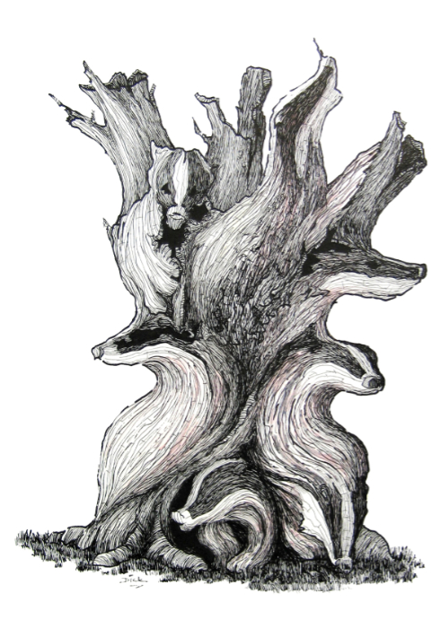 Old Brock Stump